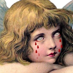 Meet your Posher, Max